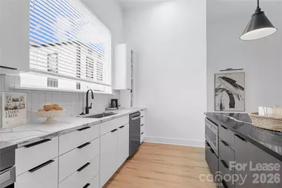 411 Charles Avenue #17, Charlotte, NC 28205 - Photo 4