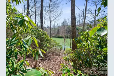 82 Narrows Run Loop, Hendersonville, NC 28791 - Photo 12