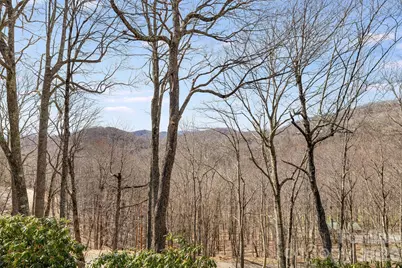 1065 Oak Ridge Lane #713, Mars Hill, NC 28754 - Photo 6