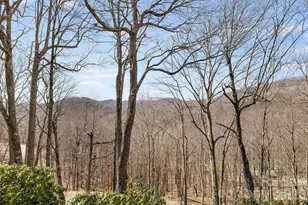 1065 Oak Rdg Ln, Mars Hill, NC 28754 - Photo 6