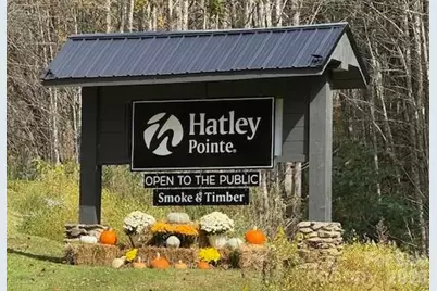 1065 Oak Ridge Lane #713, Mars Hill, NC 28754 - Photo 44