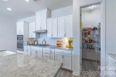 3309 Juneberry Place, Indian Land, SC 29707 - Photo 12