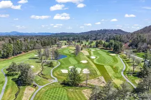 111 Broadmoor Dr, Flat Rock, NC 28731 - Photo 44