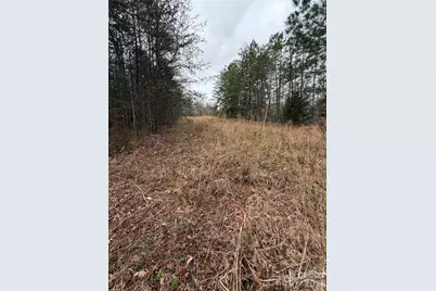 0 Shady Bark Lane #40, Rutherfordton, NC 28139 - Photo 6