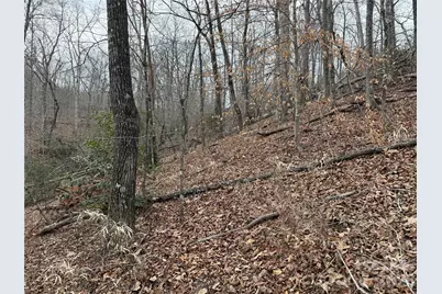 0 Shady Bark Lane #40, Rutherfordton, NC 28139 - Photo 20