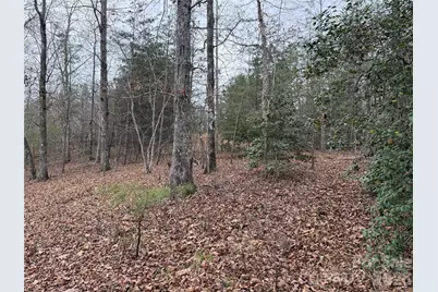 0 Shady Bark Lane #40, Rutherfordton, NC 28139 - Photo 1