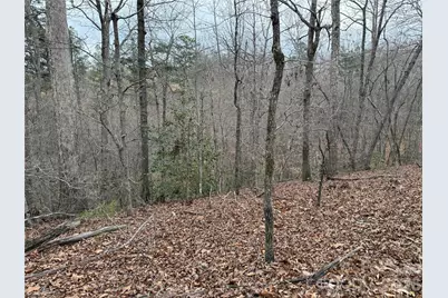 0 Shady Bark Lane #40, Rutherfordton, NC 28139 - Photo 18