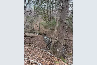 0 Shady Bark Lane #40, Rutherfordton, NC 28139 - Photo 8