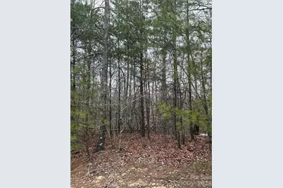 0 Shady Bark Lane #40, Rutherfordton, NC 28139 - Photo 12
