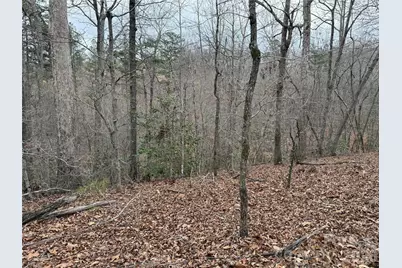 0 Shady Bark Lane #40, Rutherfordton, NC 28139 - Photo 14