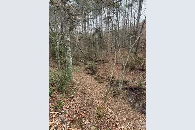 0 Shady Bark Lane #40, Rutherfordton, NC 28139 - Photo 2