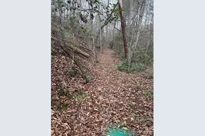 0 Shady Bark Lane #40, Rutherfordton, NC 28139 - Photo 4