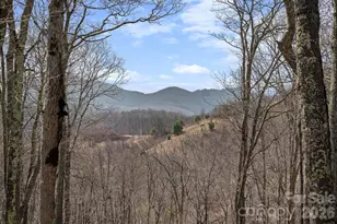 204 Great Sky Dr, Banner Elk, NC 28604 - Photo 18