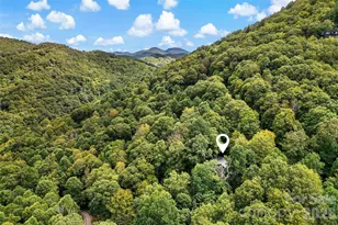 68 Lakey Gap Heights, Black Mountain, NC 28711 - Photo 40