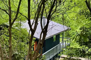 68 Lakey Gap Heights, Black Mountain, NC 28711 - Photo 48