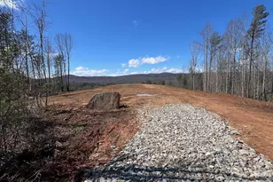 V/L Vein Mountain Rd, Nebo, NC 28761 - Photo 1