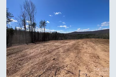 V/L Vein Mountain Road, Nebo, NC 28761 - Photo 10