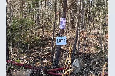 V/L Vein Mountain Road, Nebo, NC 28761 - Photo 16