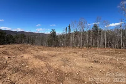 V/L Vein Mountain Road, Nebo, NC 28761 - Photo 6