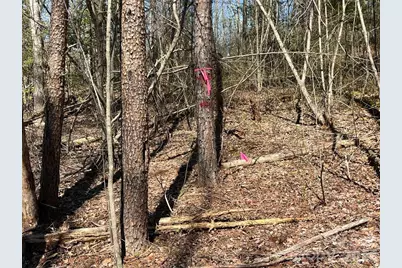 V/L Vein Mountain Road, Nebo, NC 28761 - Photo 10