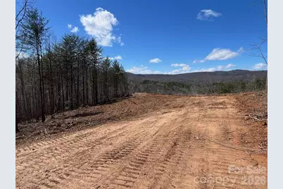V/L Vein Mountain Road, Nebo, NC 28761 - Photo 4