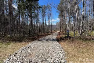 V/L Vein Mountain Rd, Nebo, NC 28761 - Photo 1
