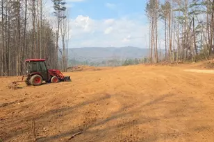 V/L Vein Mountain Rd, Nebo, NC 28761 - Photo 1