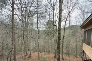 388 Island Creek Rd, Lake Lure, NC 28746 - Photo 8