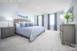 11017 Rococo Ln, Charlotte, NC 28214 - Photo 10