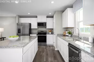 11017 Rococo Ln, Charlotte, NC 28214 - Photo 4