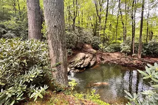 120 Assembly Dr, Montreat, NC 28757 - Photo 46