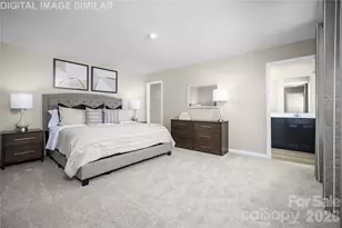 11009 Rococo Ln, Charlotte, NC 28214 - Photo 10