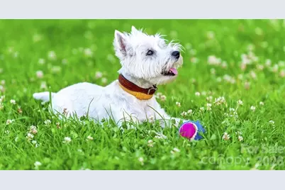 11013 Rococo Lane, Charlotte, NC 28214 - Photo 18