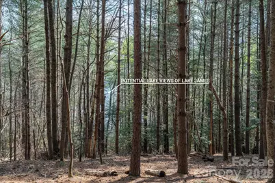 40 Turtle Head Drive, Nebo, NC 28761 - Photo 10