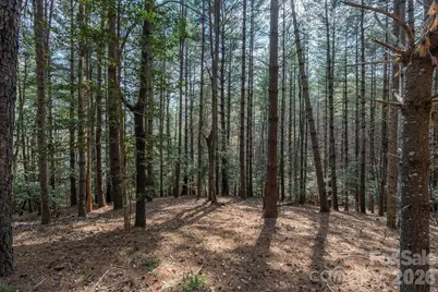 40 Turtle Head Drive, Nebo, NC 28761 - Photo 12