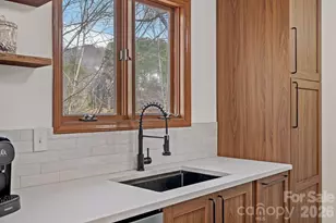 39 Spooks Branch Extension, Asheville, NC 28804 - Photo 12