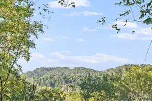 39 Spooks Branch Extension, Asheville, NC 28804 - Photo 2