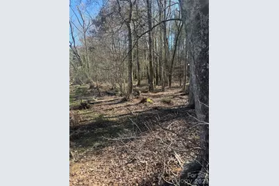 1802 Goings Road, Chester, SC 29706 - Photo 4