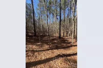 1802 Goings Road, Chester, SC 29706 - Photo 2