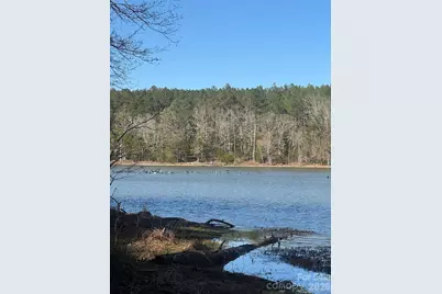 1802 Goings Road, Chester, SC 29706 - Photo 12