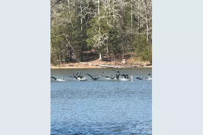 1802 Goings Road, Chester, SC 29706 - Photo 8