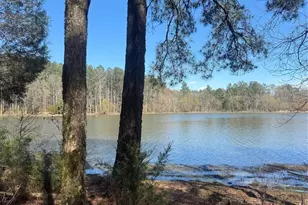 1802 Goings Rd, Chester, SC 29706 - Photo 1