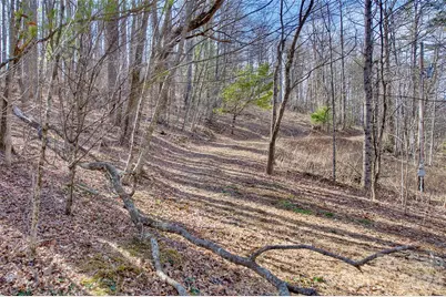 65 Blue Ridge Gem Stone Road, Little Switzerland, NC 28777 - Photo 4
