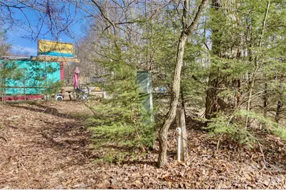 65 Blue Ridge Gem Stone Road, Little Switzerland, NC 28777 - Photo 8