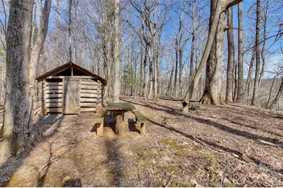 65 Blue Ridge Gem Stone Road, Little Switzerland, NC 28777 - Photo 6
