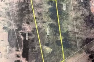 278 Right Prong Rd, Ellenboro, NC 28040 - Photo 46