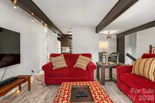 1971 Buffalo Creek Rd, Lake Lure, NC 28746 - Photo 8