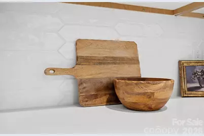 729 Poodle Way, Asheville, NC 28806 - Photo 10