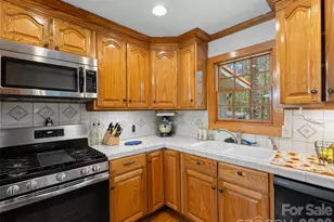 18 Holly Spgs Dr, Sapphire, NC 28774 - Photo 10