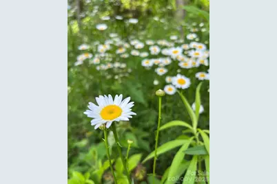 65 Owenby Road, Candler, NC 28715 - Photo 16